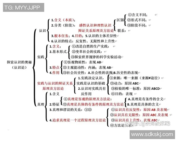 王少杰：从平凡到卓越的奋斗历程与人生哲学探索